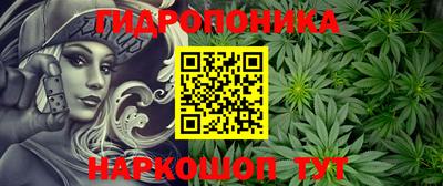 гидропоника Гусиноозёрск