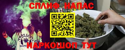 гидропоника Гусиноозёрск