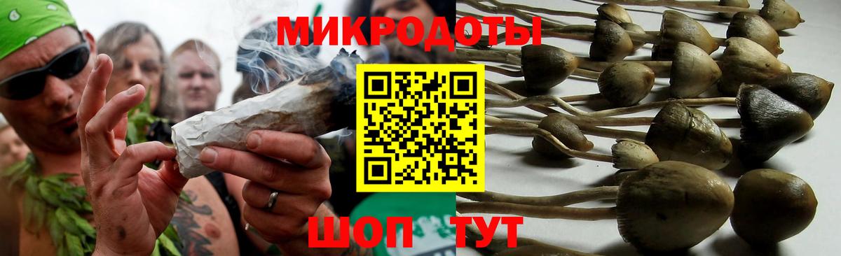 Галлюциногенные грибы MAGIC MUSHROOMS  Вход с VPN  Псилоцибиновые грибы Psilocybe  купить наркотики сайты  Менделеевск 