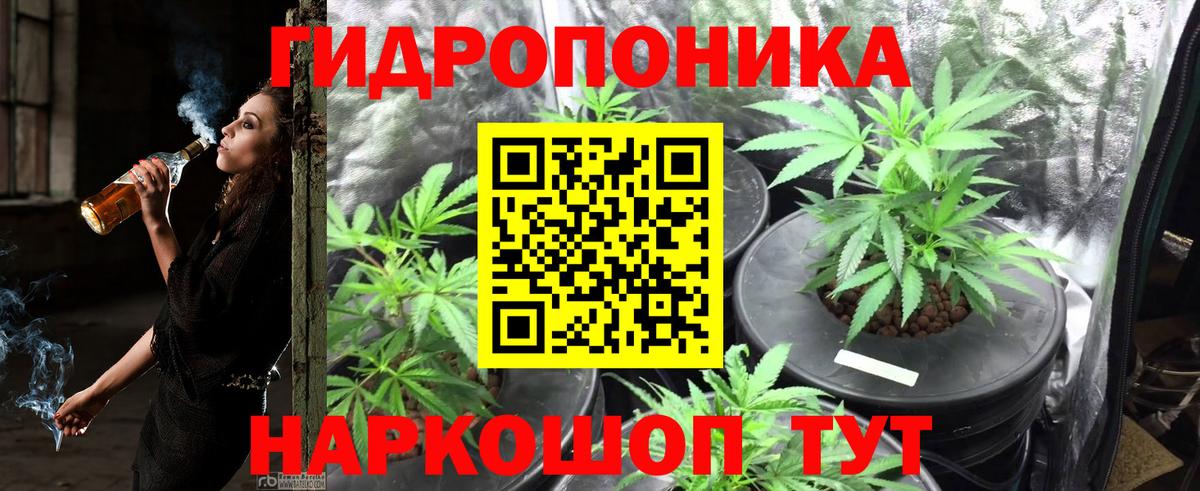 Менделеевск  Каннабис White Widow  Вход с VPN  Бошки Шишки тримм  Бошки Шишки LSD WEED 